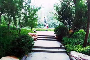 菏澤 環(huán)堤公園南區(qū)景點