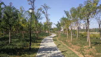 烏江河口公園可以開(kāi)放了 證照聯(lián)辦,今后食品小經(jīng)營(yíng)店登記更加便利 嫣然天使基金惠及我市