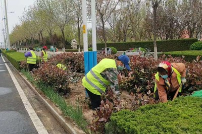 4月份園林綠化養(yǎng)護(hù)要點(diǎn)及病蟲害防治措施