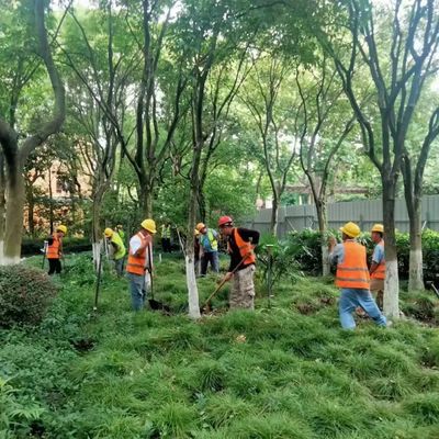 這座公園圍墻即將打開(kāi),實(shí)現(xiàn)與綠色空間的無(wú)界交流