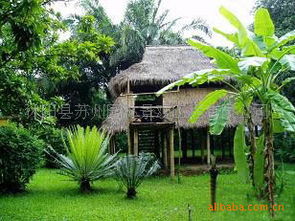 園林綠化生態(tài)茅草屋價(jià)格優(yōu)惠