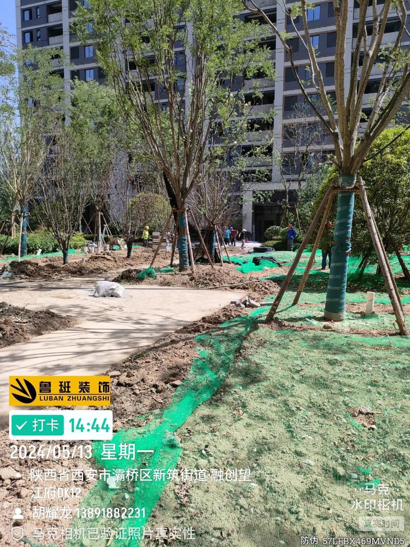 施工現場實拍 #園林綠化工程 #工程進度 #現場實拍 望江