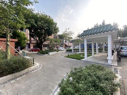 厚街鎮(zhèn)積極推進園林綠化品質提升工程，5個口袋公園建成落地