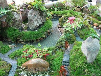 取消園林綠化資質后的企業(yè)招標標準新變化