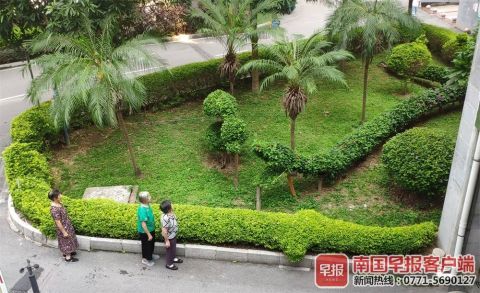 南寧綠化工人五年匠心打造動物世界主題園林，綠色藝術驚艷全城