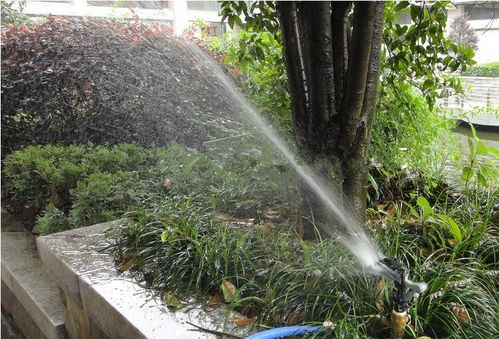 昆明考綠化工證及體育場(chǎng)地設(shè)施工程施工指南 難度、費(fèi)用與準(zhǔn)入解析